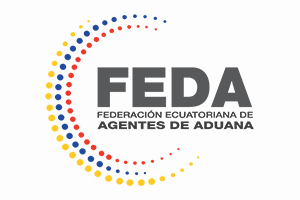 6.FEDA